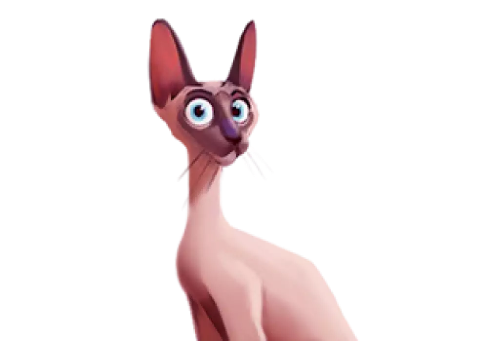 Kedi